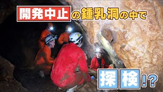 鍾乳洞・洞窟めぐりの動画