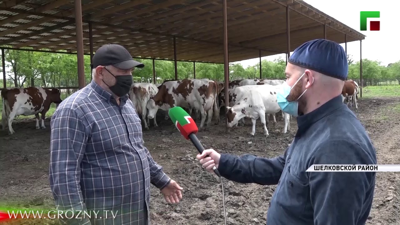 Гранты минсельхоз ур