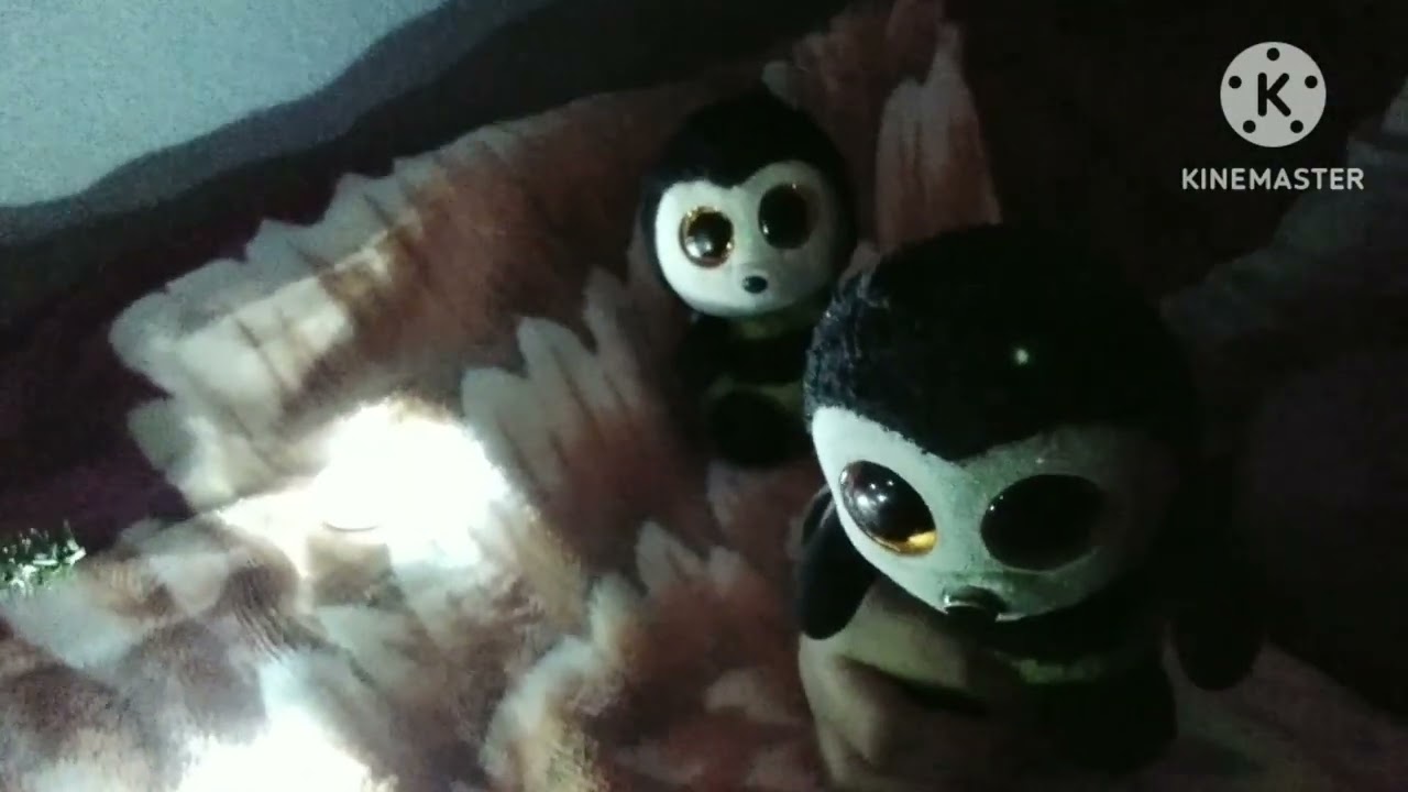 Tikios Daily S1 E2: go crazy