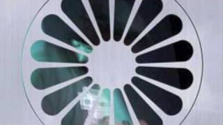 Shukar Collective Dai Dai