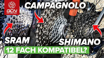 Welche Kassetten sind mit Shimano kompatibel?