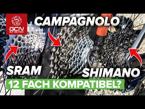 Video: Kommt der Campagnolo 12-Gang bald?