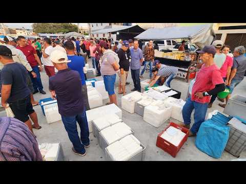 QUEIJO DELICIOSO DE 18 REAIS EM CACHOEIRINHA-PE