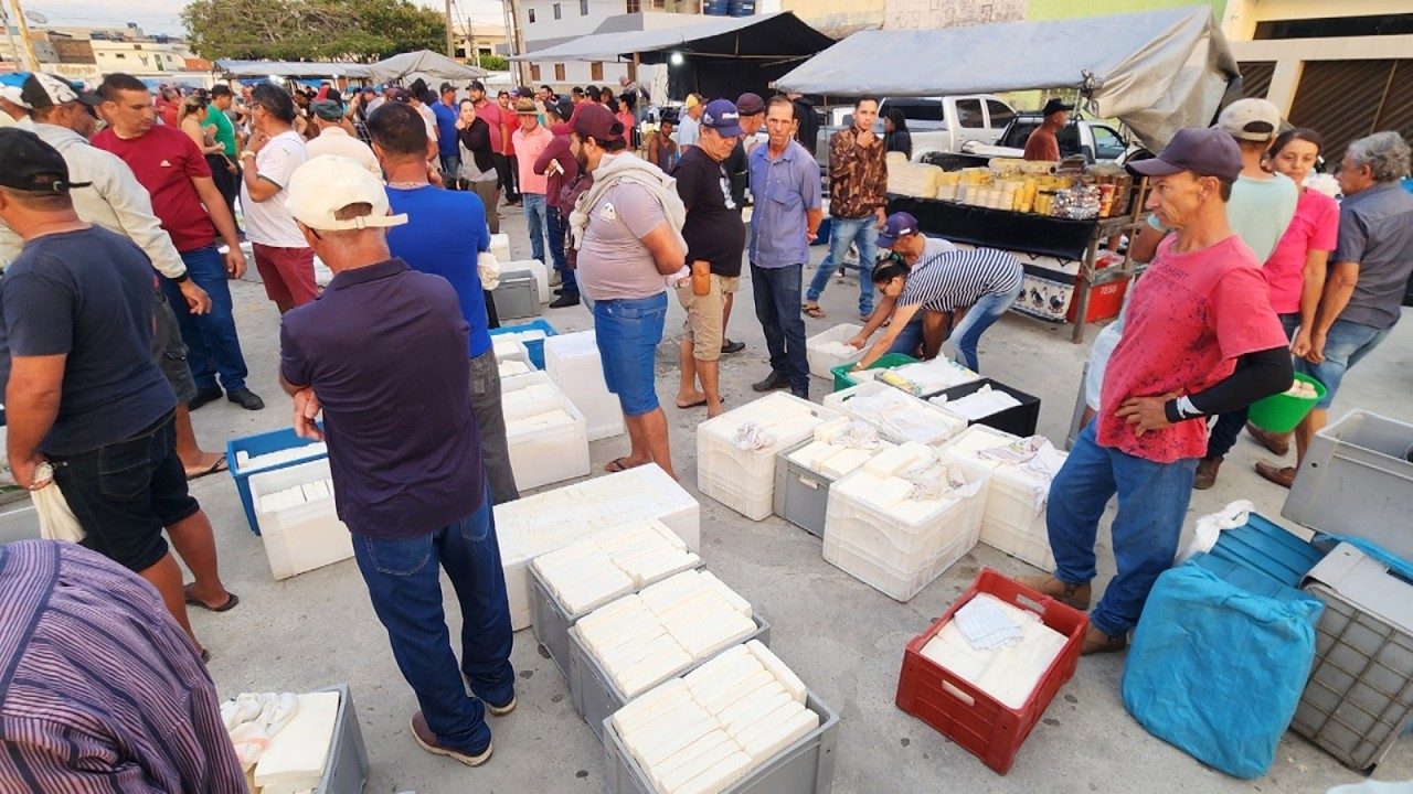 QUEIJO DELICIOSO DE 18 REAIS EM CACHOEIRINHA-PE