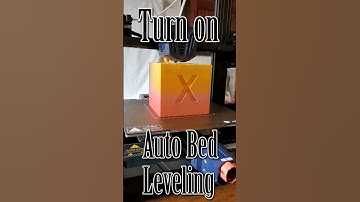 Anycubic Kobra Go Bed leveling short