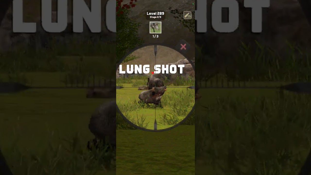 Animal Shooter