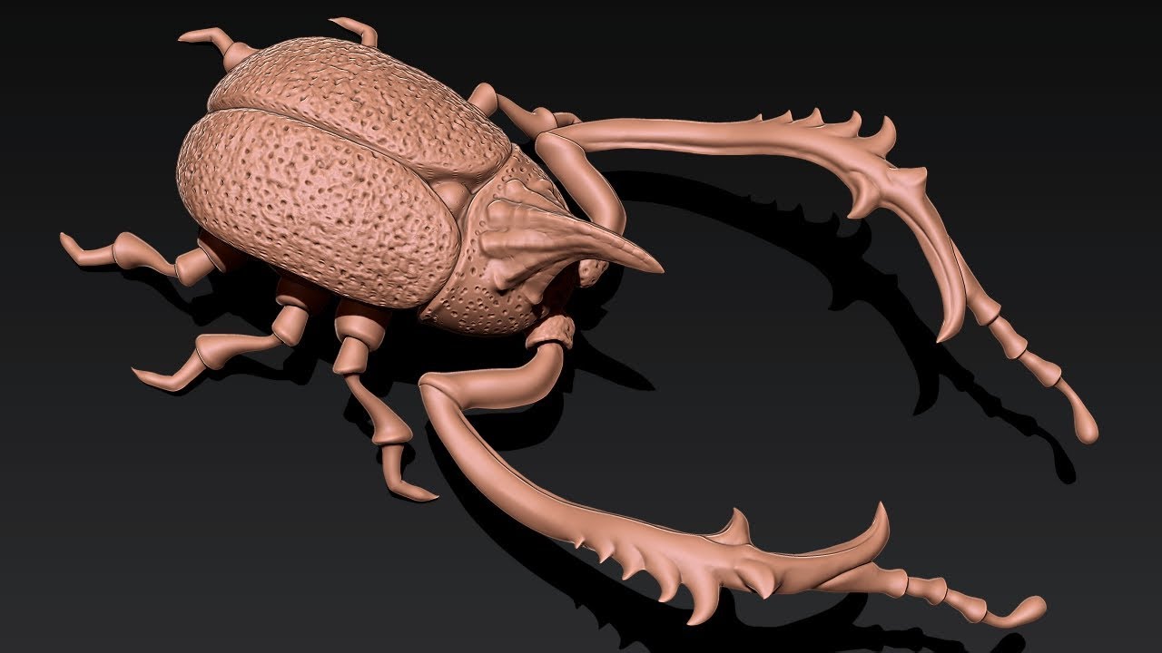 how to model a a bug in zbrush