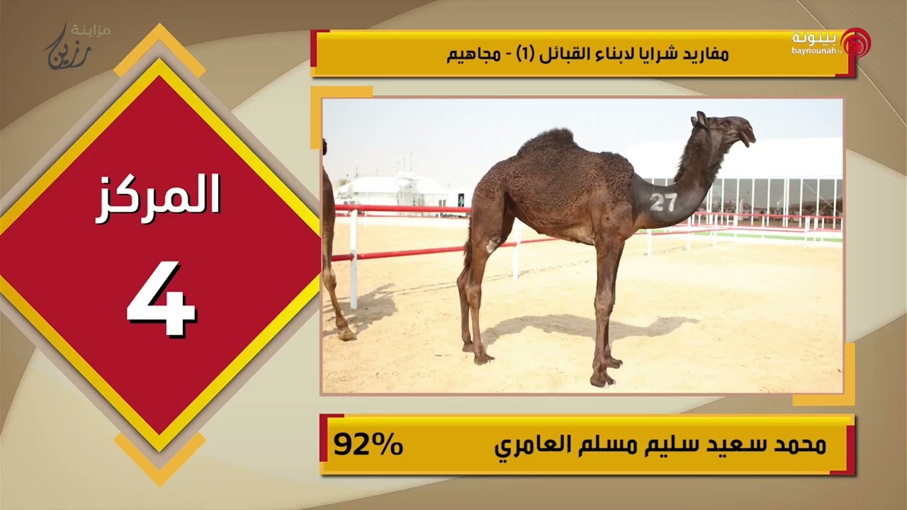 نتائج شوط مفاريد شرايا لابناء القبائل 1مجاهيم اليوم الثانى من 