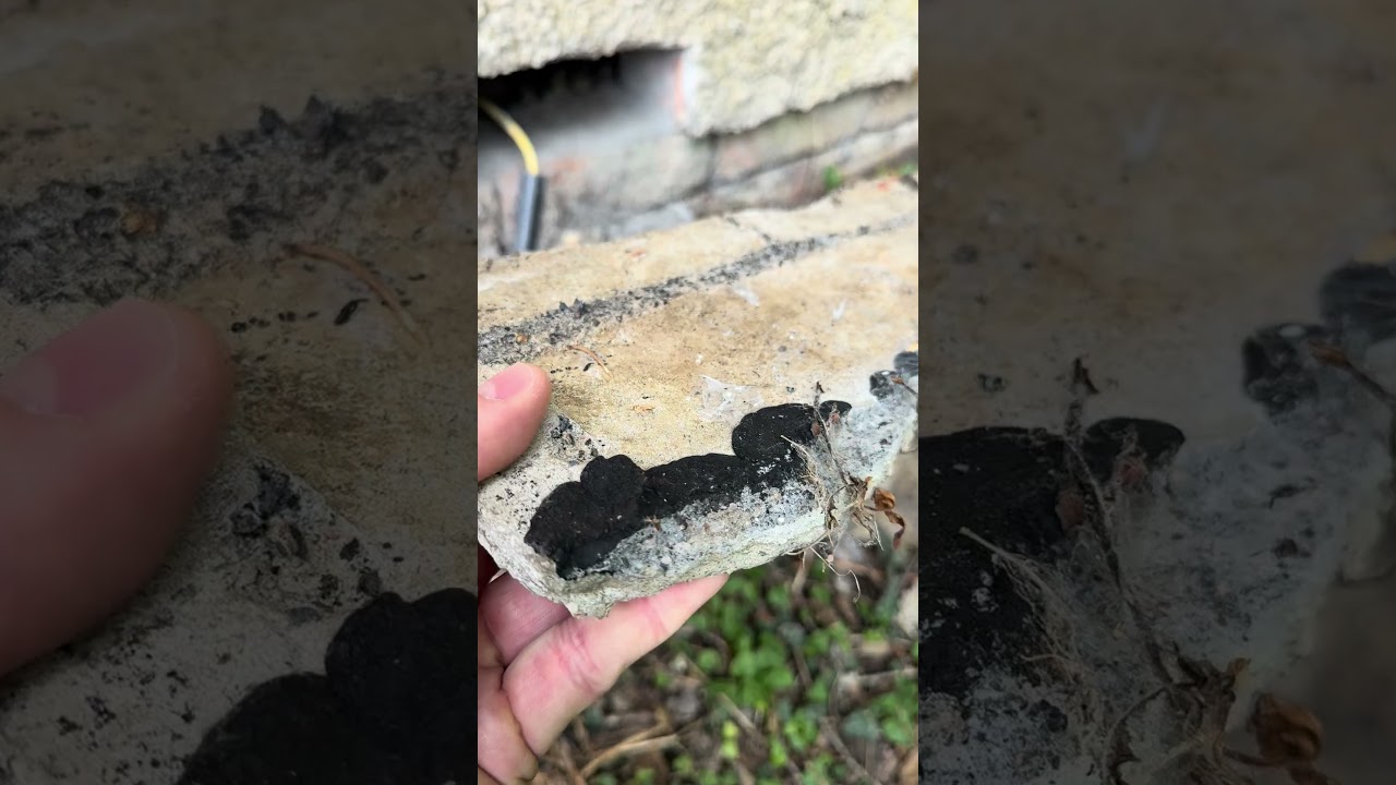 Bridged damp proof course 