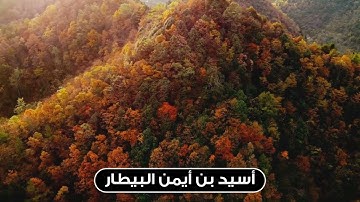 تلاوة إبداعية | أسيد بن أيمن البيطار | أواخر سورة الأنبياء