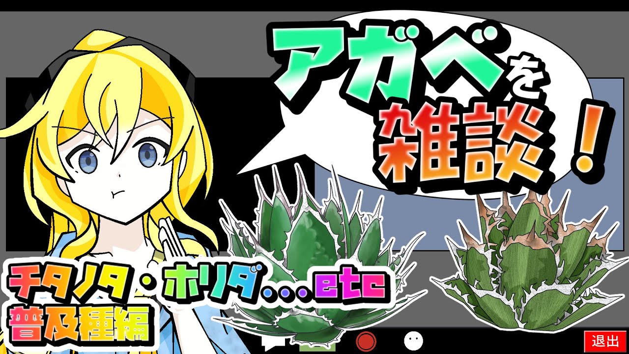 アガベ雑談】最初に買うべきオススメのアガベをご紹介！【アガベ普及種