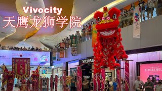 Auspicious High Pole Lion Dance Vivocity - 天鹰龙狮学院