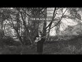 the black dog - taylor swift (acoustic cover)