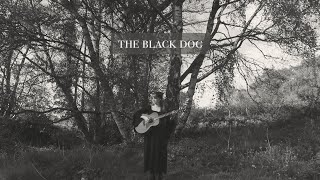 the black dog - taylor swift (acoustic cover) Resimi
