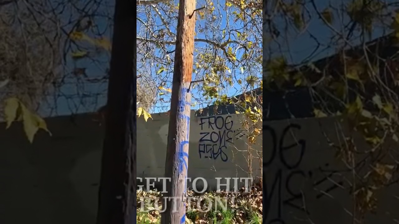 FROG TOWN RIFA 13 🐸🇲🇽. (One of LA’s Oldest & Most Dangerous Gangs⚠️) 