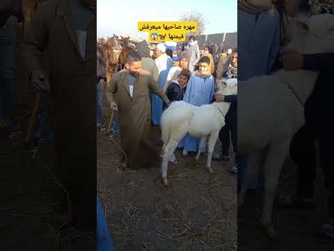 مهره صاحبها ميعرفش قيمتها