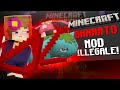 QUESTE MOD ILLEGALI SONO STATE BANNATE PER SEMPRE DA MINECRAFT