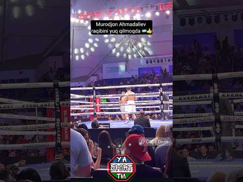 Murodjon Ahmadaliev yangi jangidan lavha 🇺🇿👍 #shorts #uzb #uzbekistan #boxing
