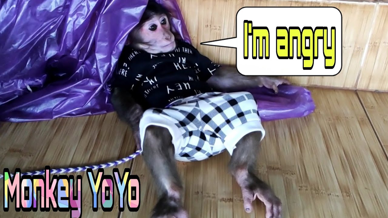 First time YoYo JR is angry with dad