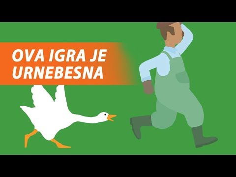 Video: Kako Kuhati Božićnu Gusku