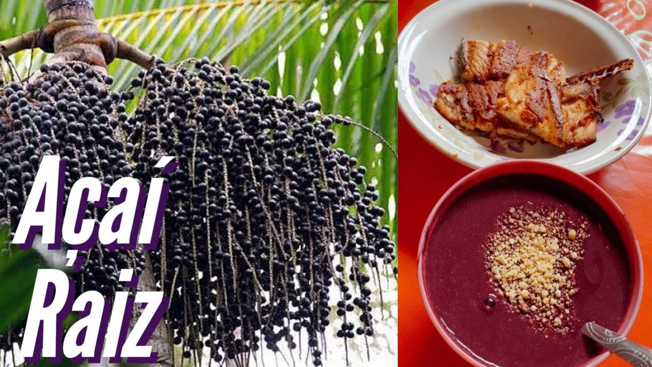 AÇAÍ FEITO EM CASA COM PEIXE SECO FRITO. APRENDA COMO FAZER AÇAÍ ...