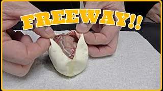 Freeway Clutch! Egg Cutting Did We Hit The Odds?!!