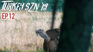 TURKEY HUNTING AND TAXIDERMY - Full Draw Taxidermy