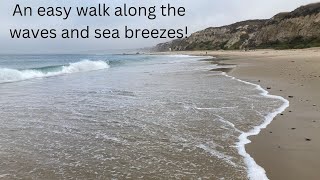 S3 E5: How to Hike the Crystal Cove Beach Walk + Hike Overview