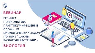 Практикум «Решение сложных биологических задач по теме 