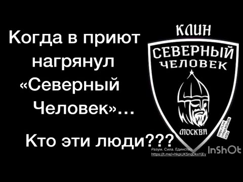 Когда в приют нагрянул 'Северный человек'...
