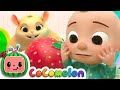 JJ's Lost Hamster! | CoComelon Nursery Rhymes & Kids Songs | @CoComelon