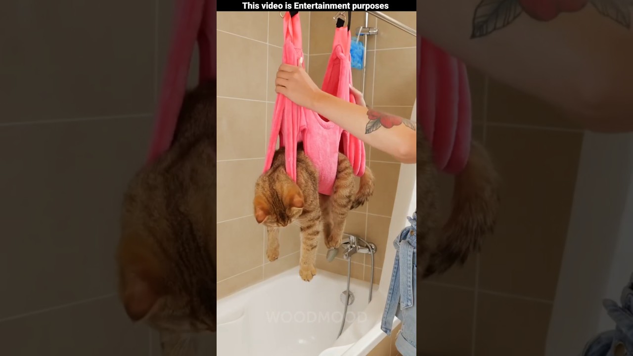 Непослушный кот получил сладкий сюрприз 😻🎁~миниатюрная деревянная игрушка — навык столярного иску...