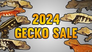 2024 Spring Crested Gecko Sale Preview!