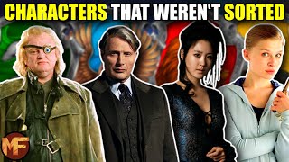 Sorting 35 Harry Potter Characters That Weren't Sorted in the Books