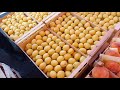10 июля 2021 г.Цени на Абрикос и другие фрукти , прямой выдео с Рынка 🙏👌 Фуд - Сити 🥭🍑🍒🍐🫐🍉