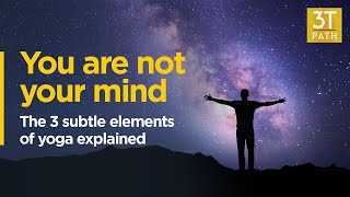 You are not your mind: The 3 subtle elements of yoga explained. #yoga #mindcontrol #vedicphilosophy