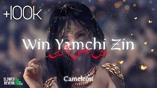 Cameleon - Win Yamchi Zine وين يمشي الزين ( Slowed & Reverb )