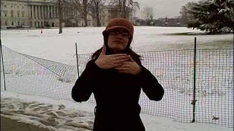 Leah Katz-Hernandez: The First 100 Days (And SNOW!!)