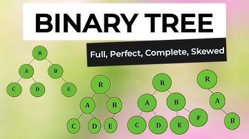 Binary Trees in Data Structure | Data Structures | Coding Draft by Kanika