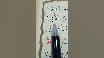 سورة الحج الأية 73 إلى 75 القارئ سعد الغامدي