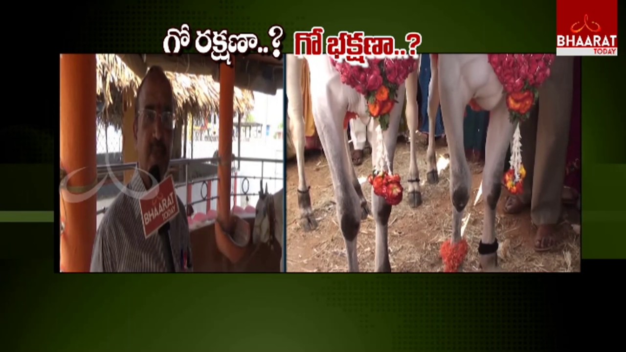 Khammam People Response On Ban on Cattle Slaughter | Bhaarat Today