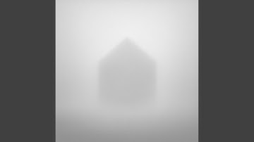 rule 348: no vines in general