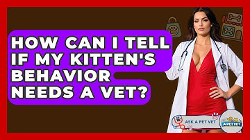 How Can I Tell If My Kitten