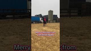 Merry Christmas シViral