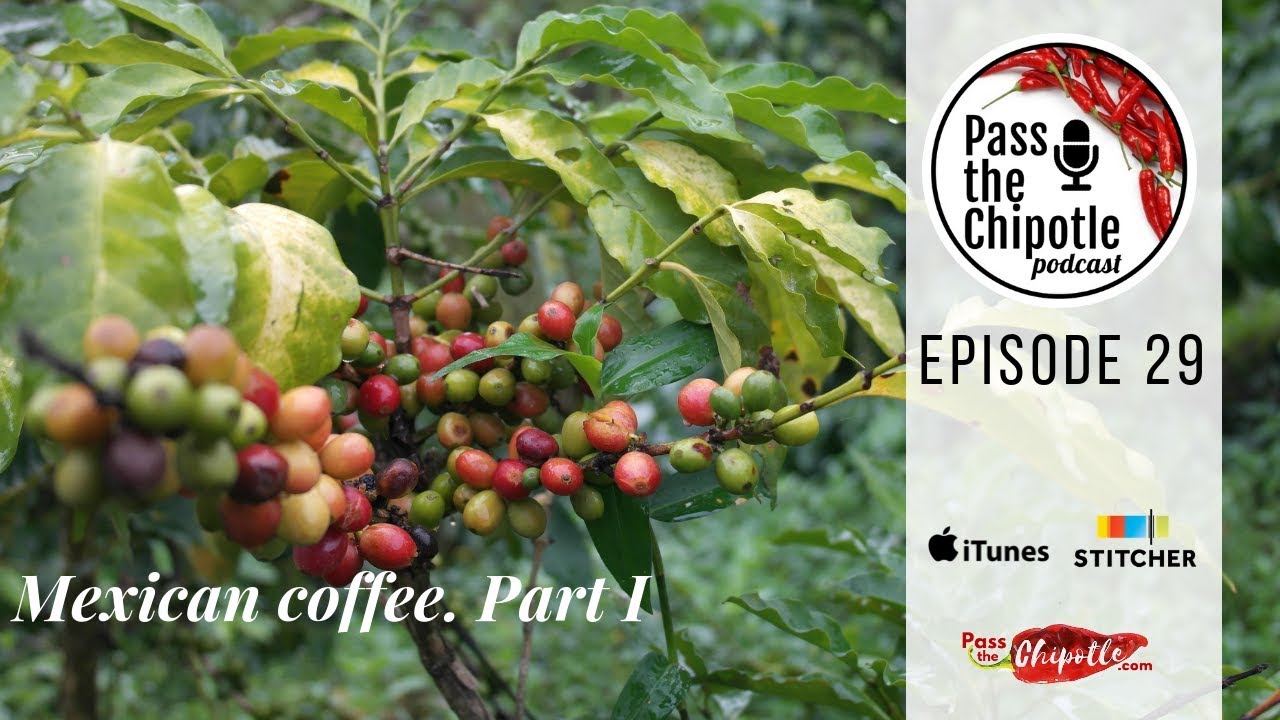Mexican coffee Part1 Ep 29