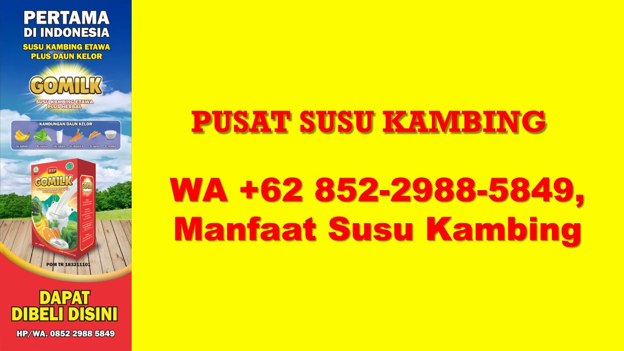SUSU KAMBING ETAWA DI ACEH, WA +62 852-2988-5849, Khasiat Susu Kambing
