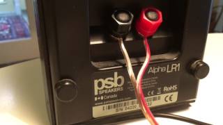 Psb Alpha Lr1 Test