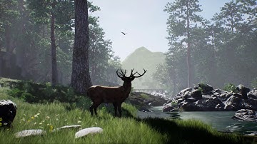 UE 4 Forest Test