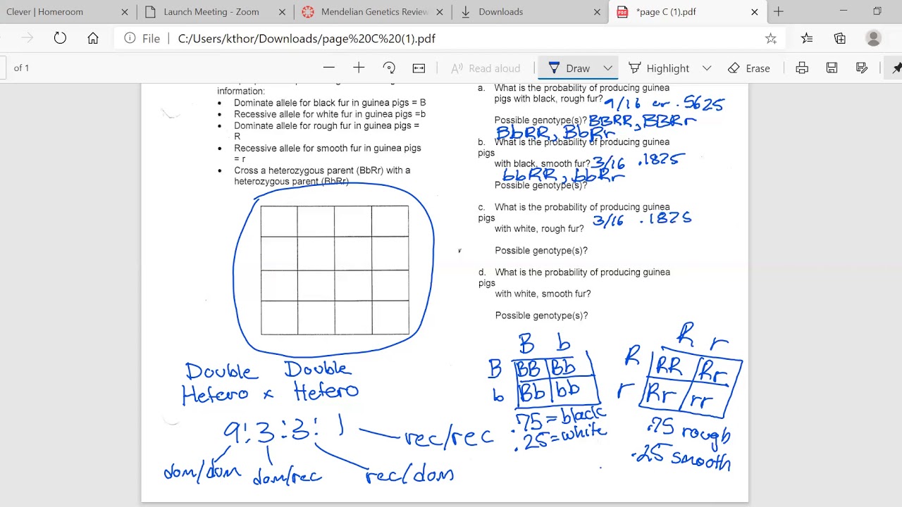 Unit 5 Study Guide Part One: Pages A - E - YouTube