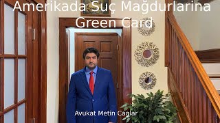 Amerikada Suc Magdurlarina Green Card - - - - - Avukat Metin Caglar